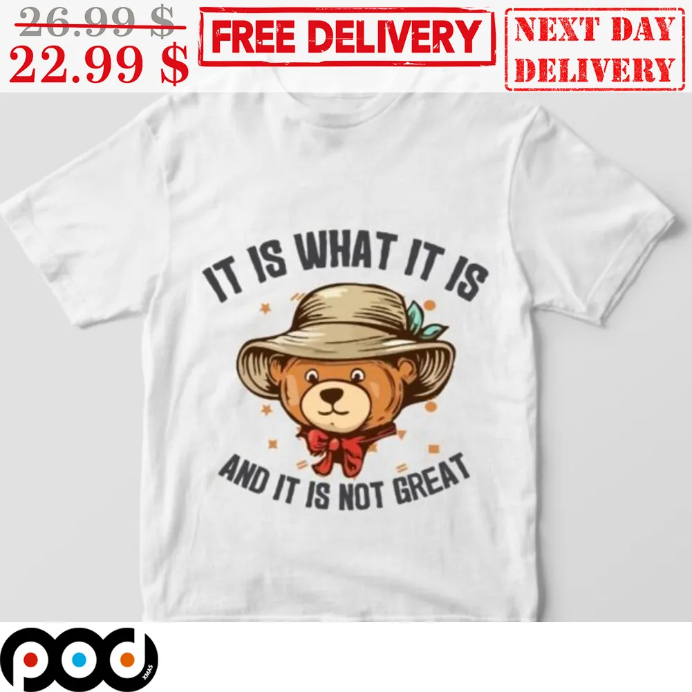 Bear It Is What It Is and It Is Not Great Shirt