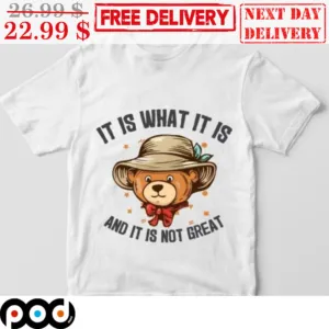 Bear It Is What It Is and It Is Not Great Shirt