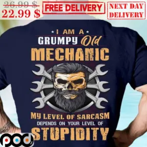 Skull Beard I Am A Grumpy Old Mechanic My Level Of Sarcasm Depends On Your Level Of Stupidity Vintage Shirt