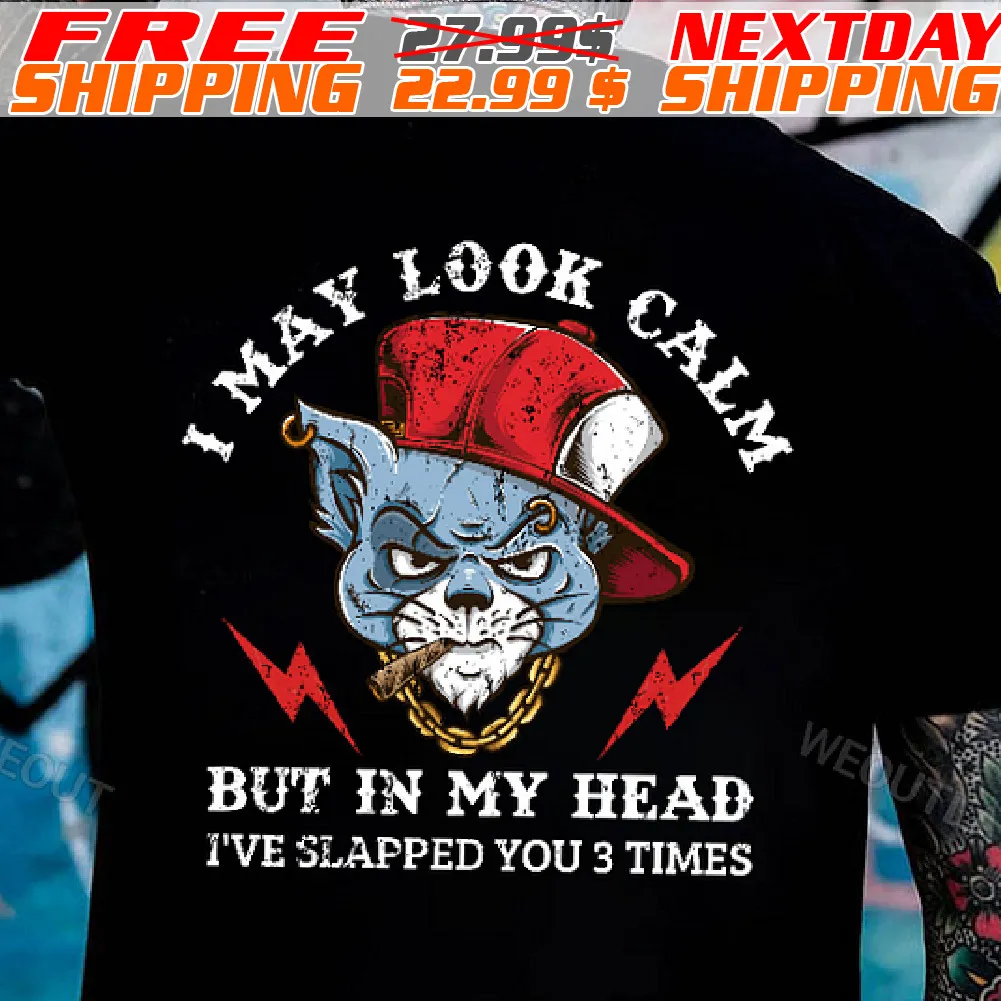 Cat I May Look Calm But In My Head I Have Slapped You 3 Times Shirt