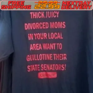 Thick Juicy Divorced Moms In Your Local Area Want To Guillotine Their State Senators Shirt