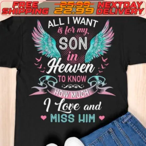 Wing All I Want Is For My Son In Heaven To Know How Much I Love And Miss Him Shirt