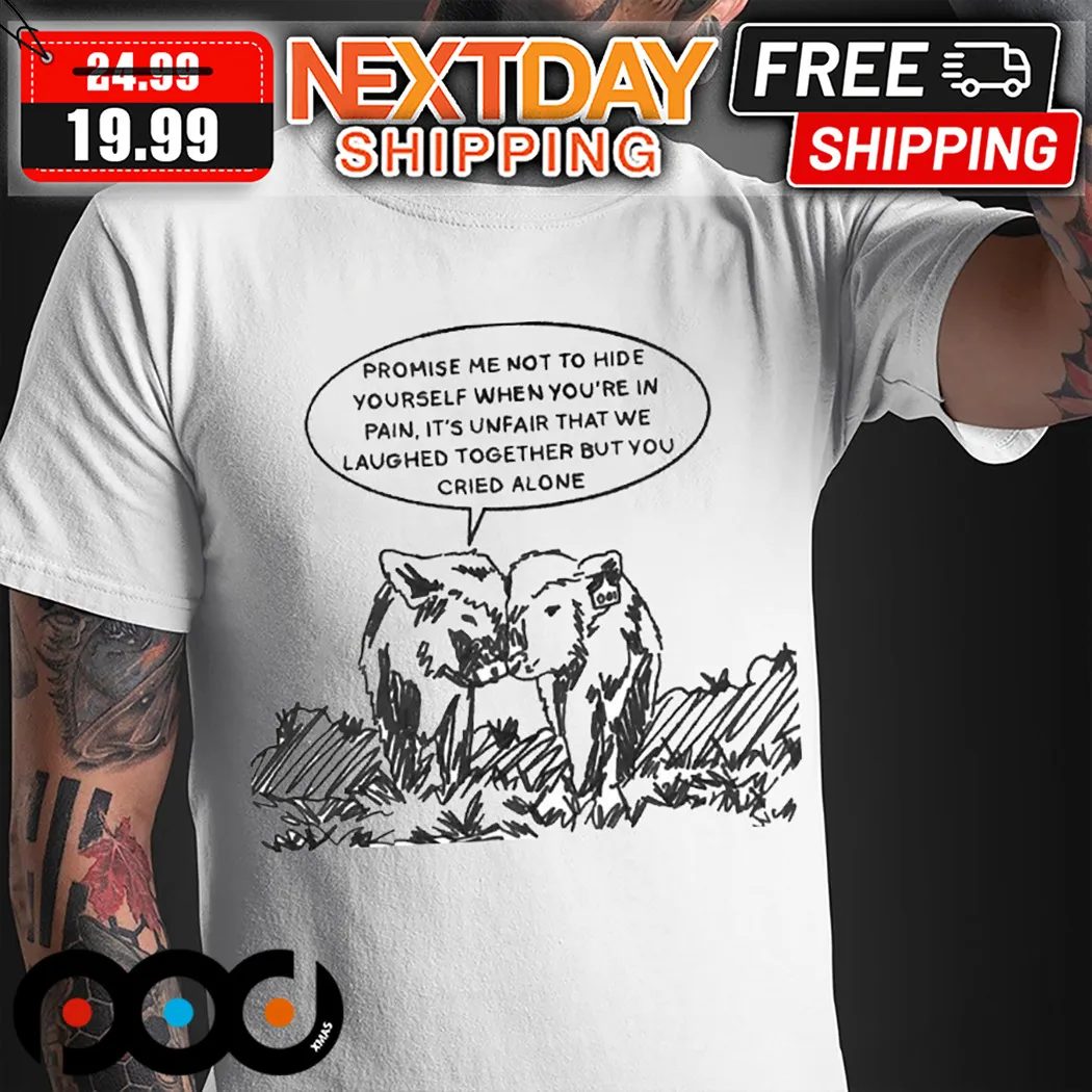 Promise Me Not To Hide Yourself When You Are In Pain Shirt