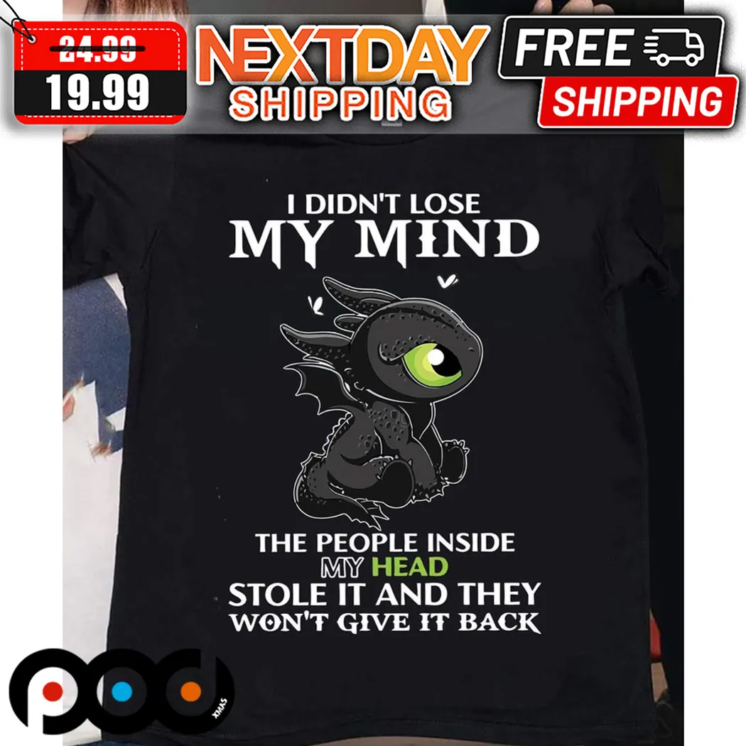 Toothless I Did Not Lose My Mind The People Inside My Head Stole It And They Will Not Give It Back How To Train Your Dragon Shirt