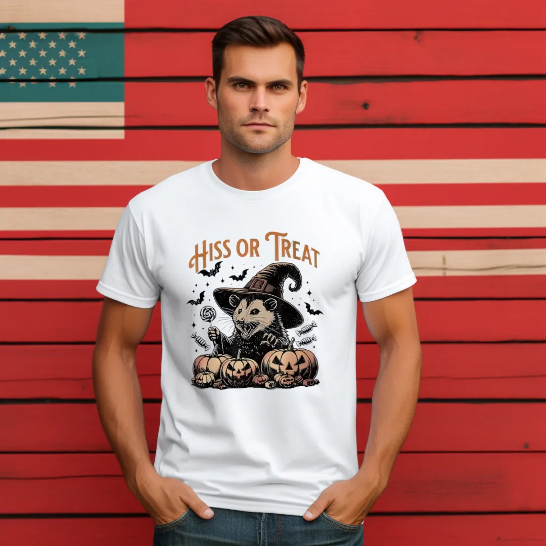 Possum Hiss Or Treat Halloween 2024 Shirt