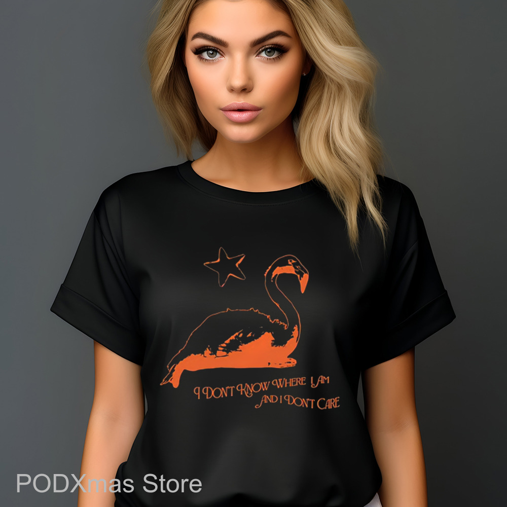 Flamingo I Don't Know Where I Am And I Don't Care Shirt