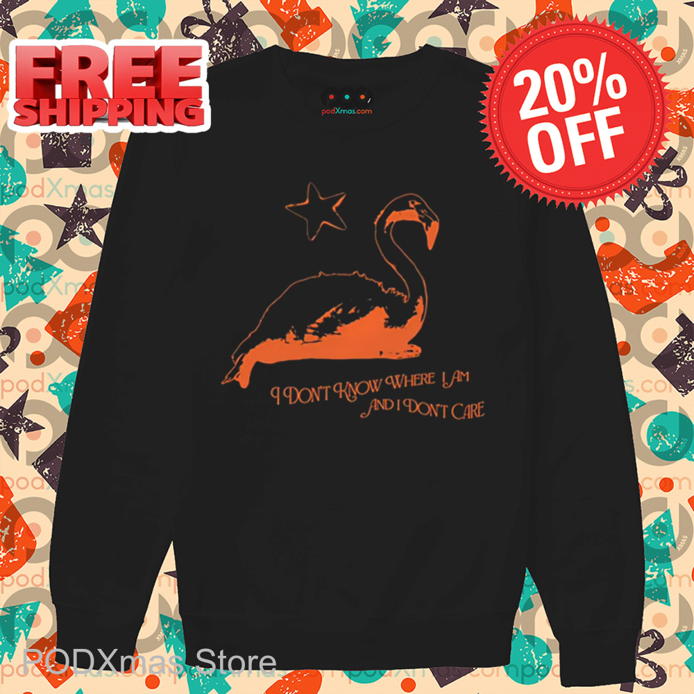 Flamingo I Don't Know Where I Am And I Don't Care Shirt