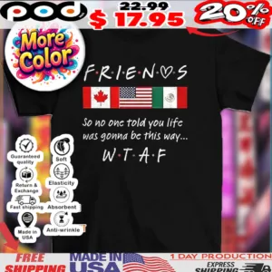 Friends so no one told you life was gonna be this way WTAF flags shirt