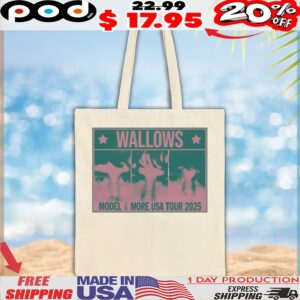 Wallows Info Wallows Model and More Usa Tour 2025 T shirt