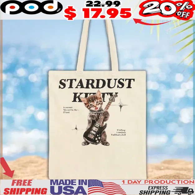 Stardust Kitty I Commit My Soul To Thee, Olord Fluffing Ferocious Full Body Chill T Shirt