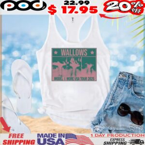 Wallows Info Wallows Model and More Usa Tour 2025 T shirt