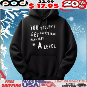 You Wouldn’t Get 1677721600 Mana Orbs On A Level T shirt