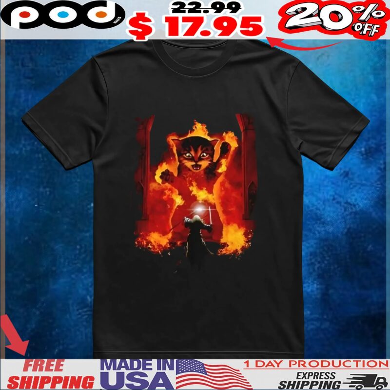 Cat shall not pass fire flames Gandalf Catdalf Frodo Lord Of The Rings t shirt