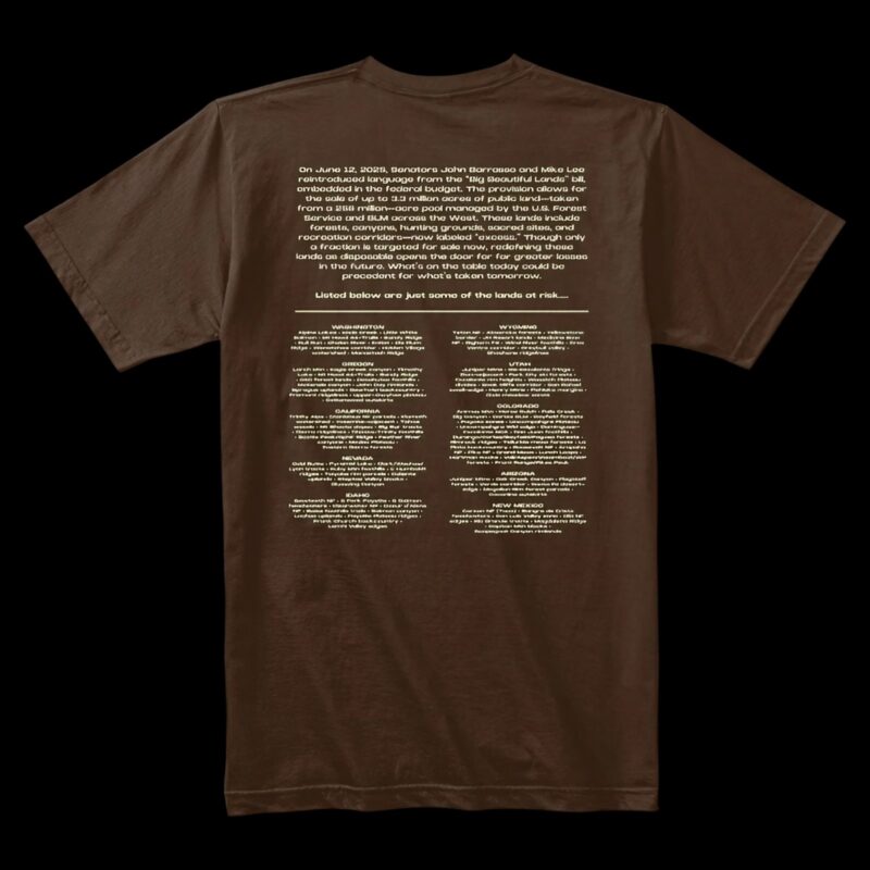 There Is So Much To Lose Protect Our Public Lands T Shirt