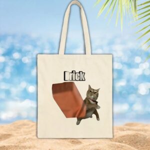 Cat throwing brick shirt