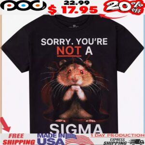 Sigma Sorry You're Not A Sigma T Shirt