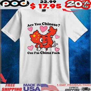 Are You Chinese Cuz I'm China Fuck Map T Shirt