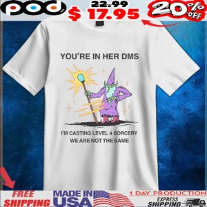 Wizard You're In Her Dms W I'm Casting Level 4 Sorcery We Are Not The Same T Shirt