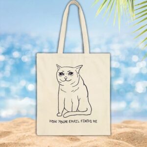 Sad Cat Email How Your Email Finds Me T Shirt