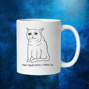 Sad Cat Email How Your Email Finds Me T Shirt
