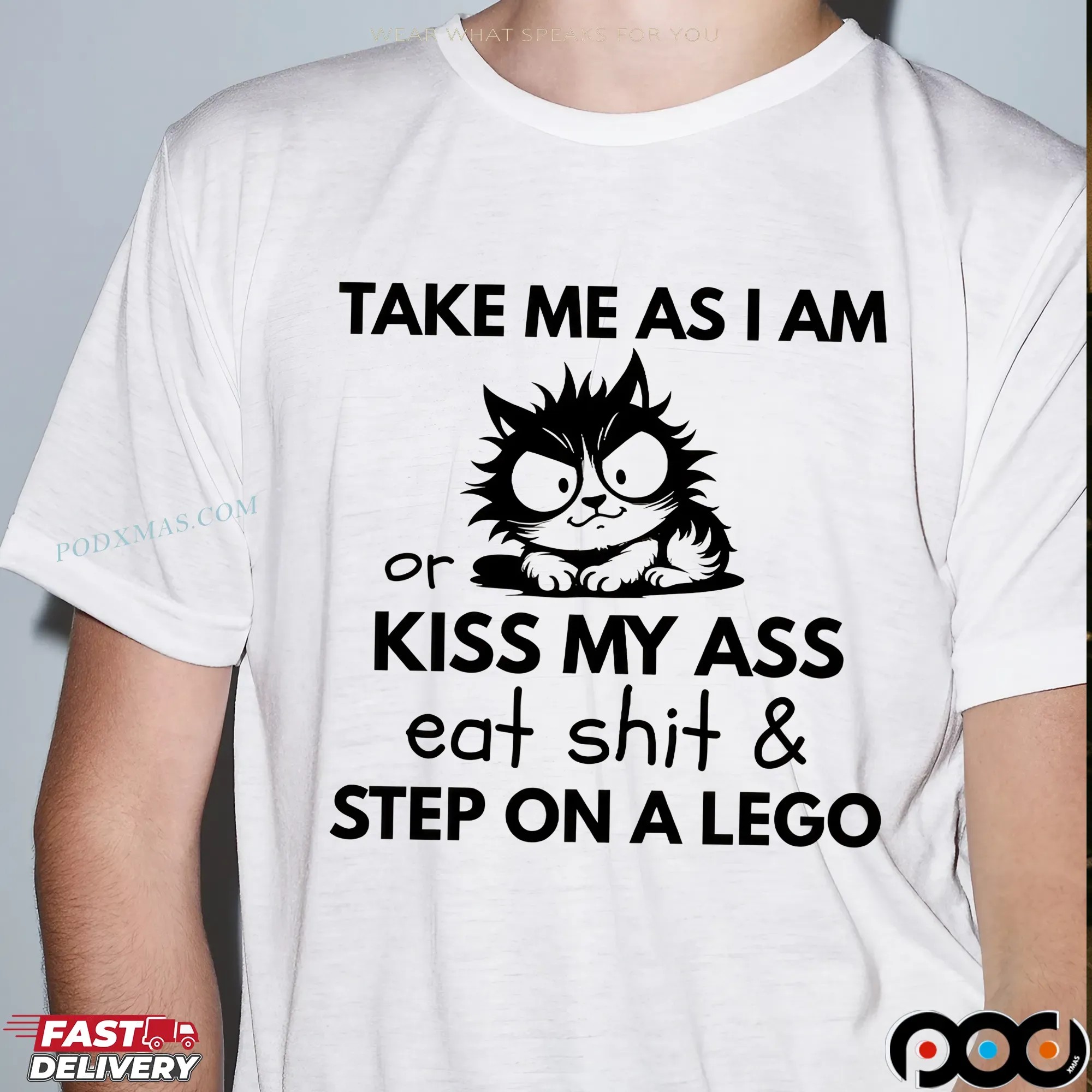 Frazzled Cat Take Me As I Am Or Kiss My Ass Eat Shit and Step On A Lego T Shirt