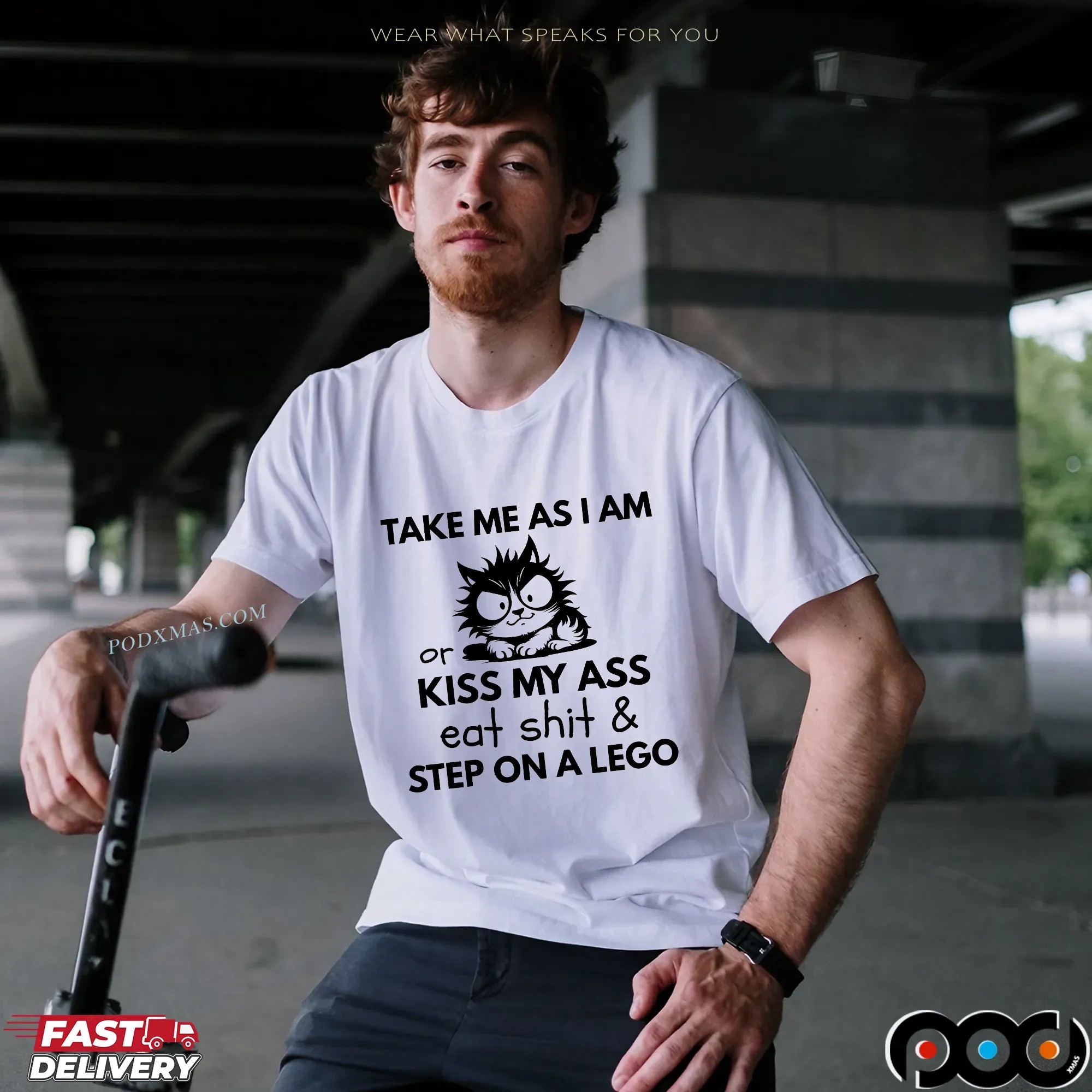 Frazzled Cat Take Me As I Am Or Kiss My Ass Eat Shit and Step On A Lego T Shirt