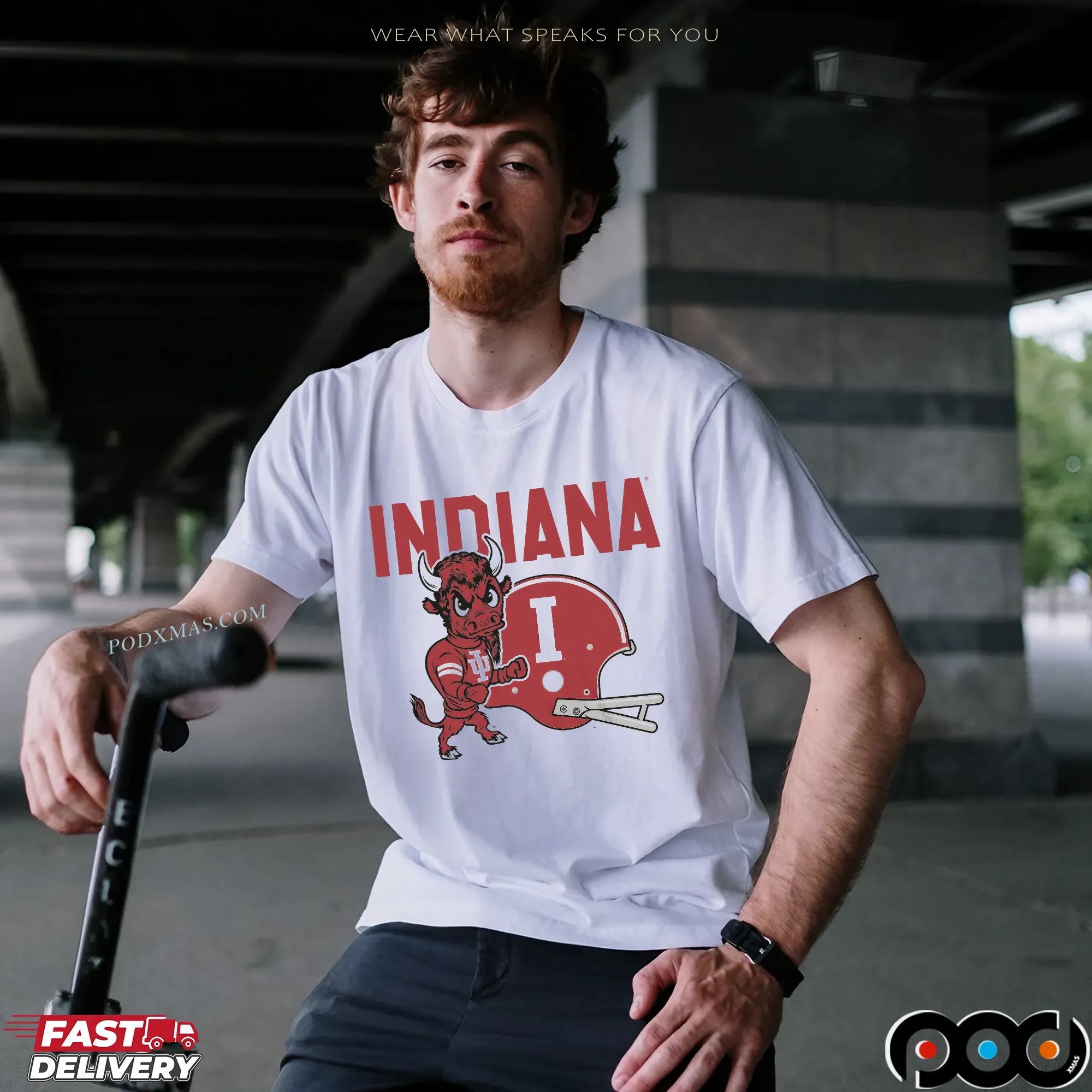 Indiana Hoosiers Football Bison & Helmet T Shirt