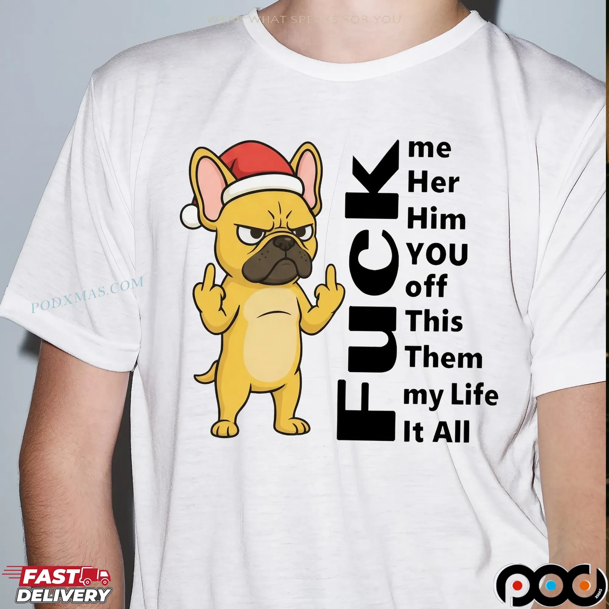 Santa Bulldog Christmas Fuck Me Her Him You Off Them My Life It All T Shirt