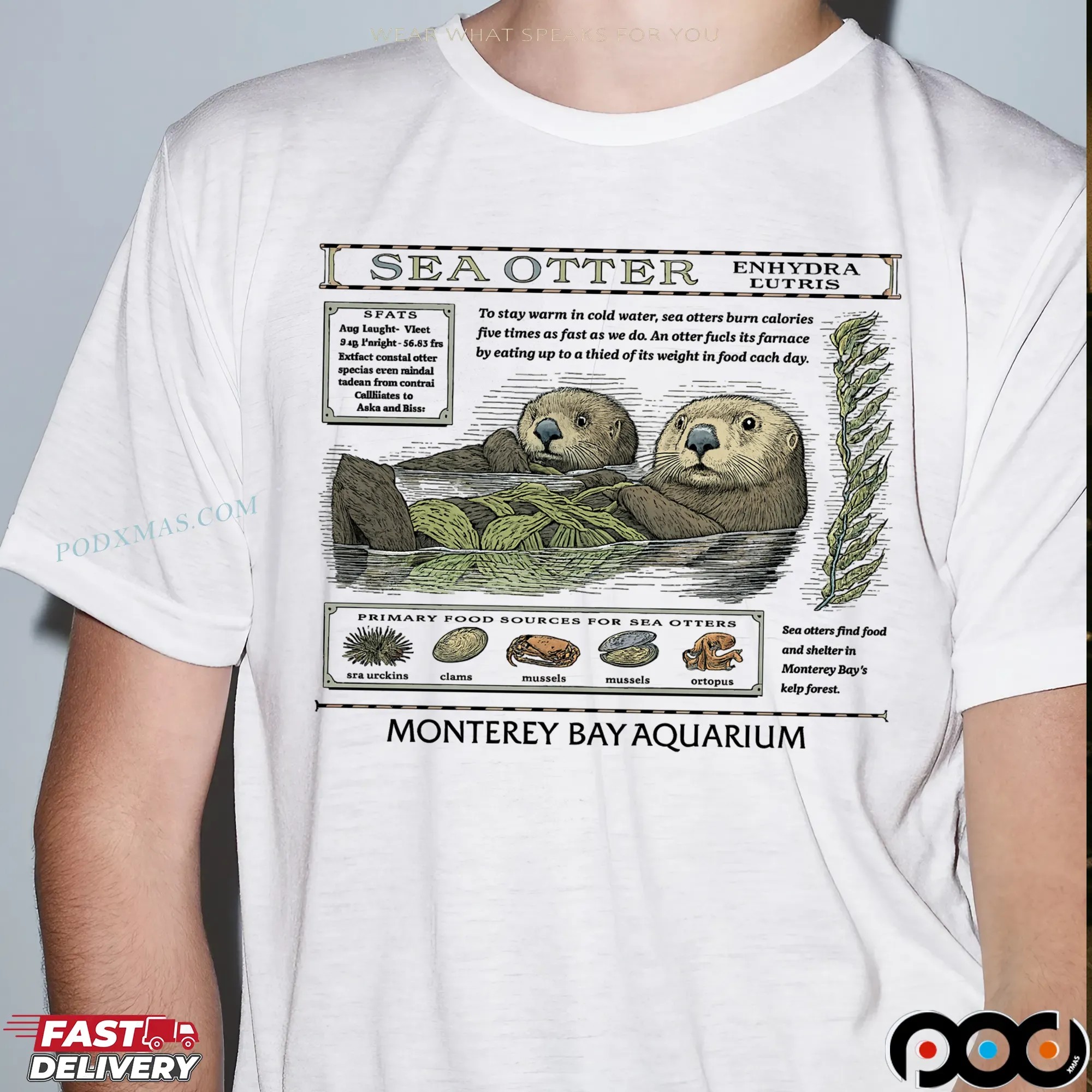 Swifties Monterey Bay Aquarium Sea Otter T Shirt