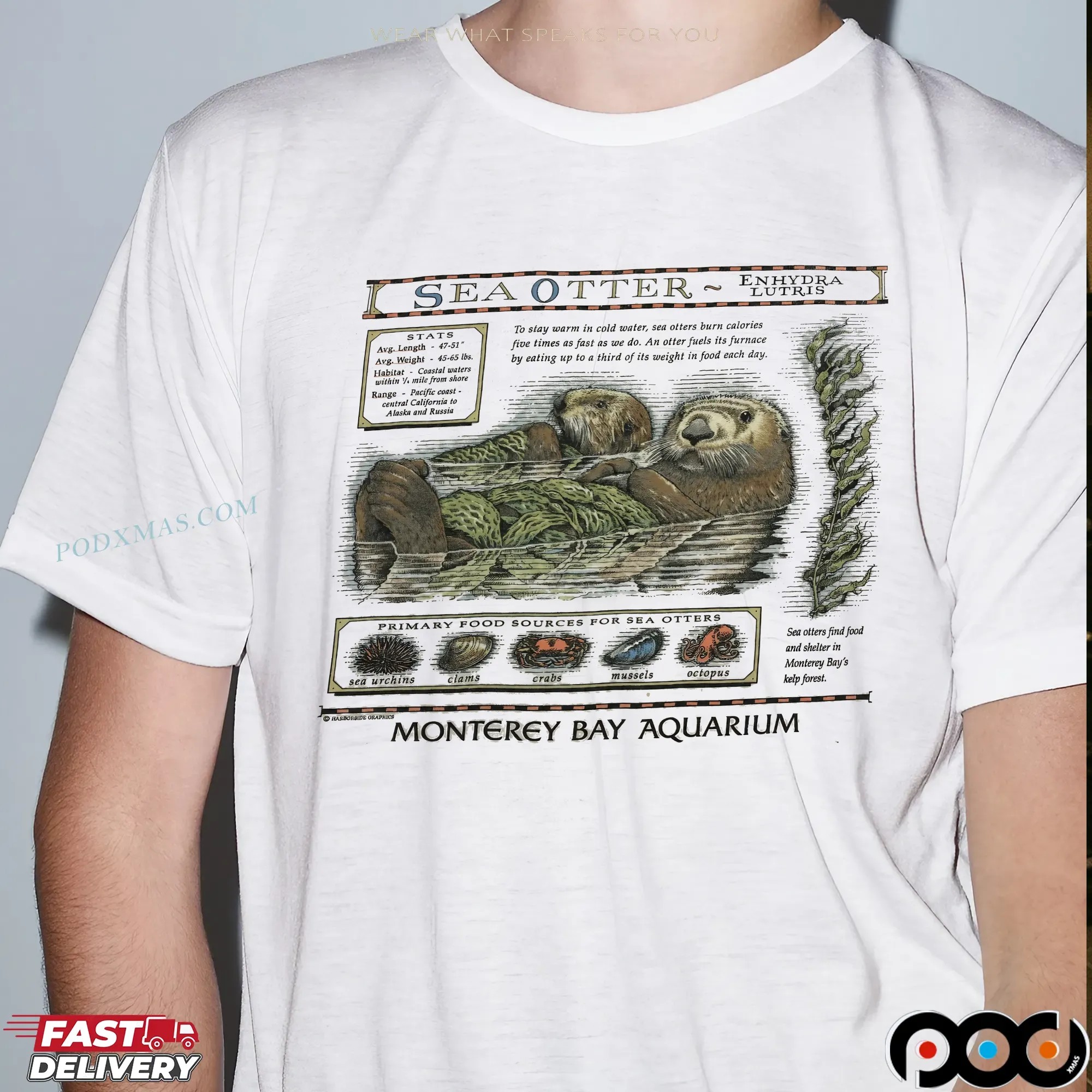 Vintage Sea Otters Monterey Bay Aquarium Taylor Swift T-Shirt