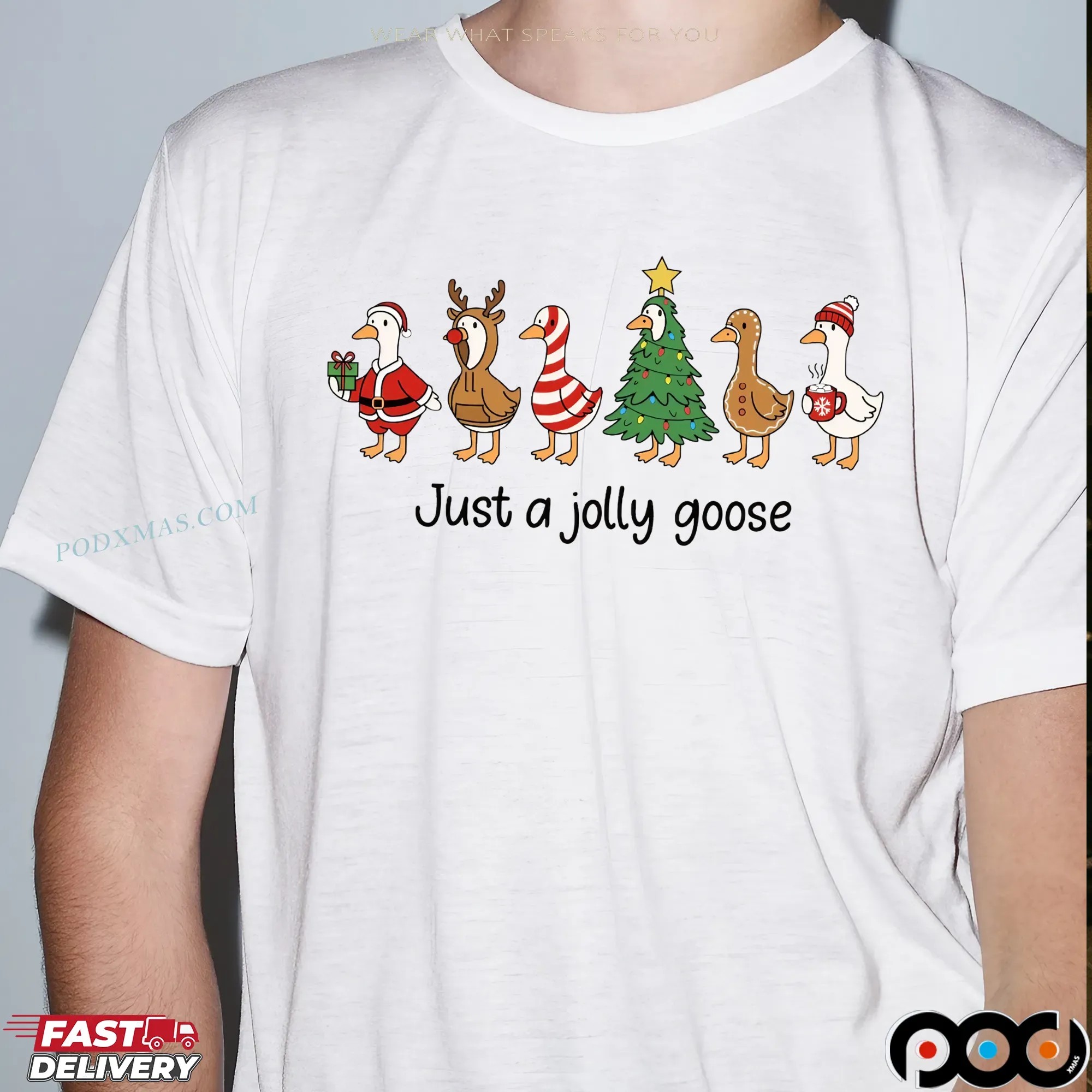 Just a Jolly Goose 2025 Christmas T Shirt