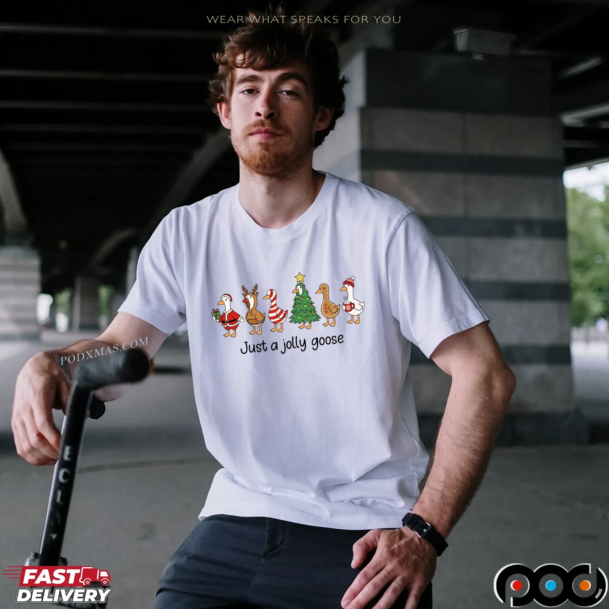 Just a Jolly Goose 2025 Christmas T Shirt