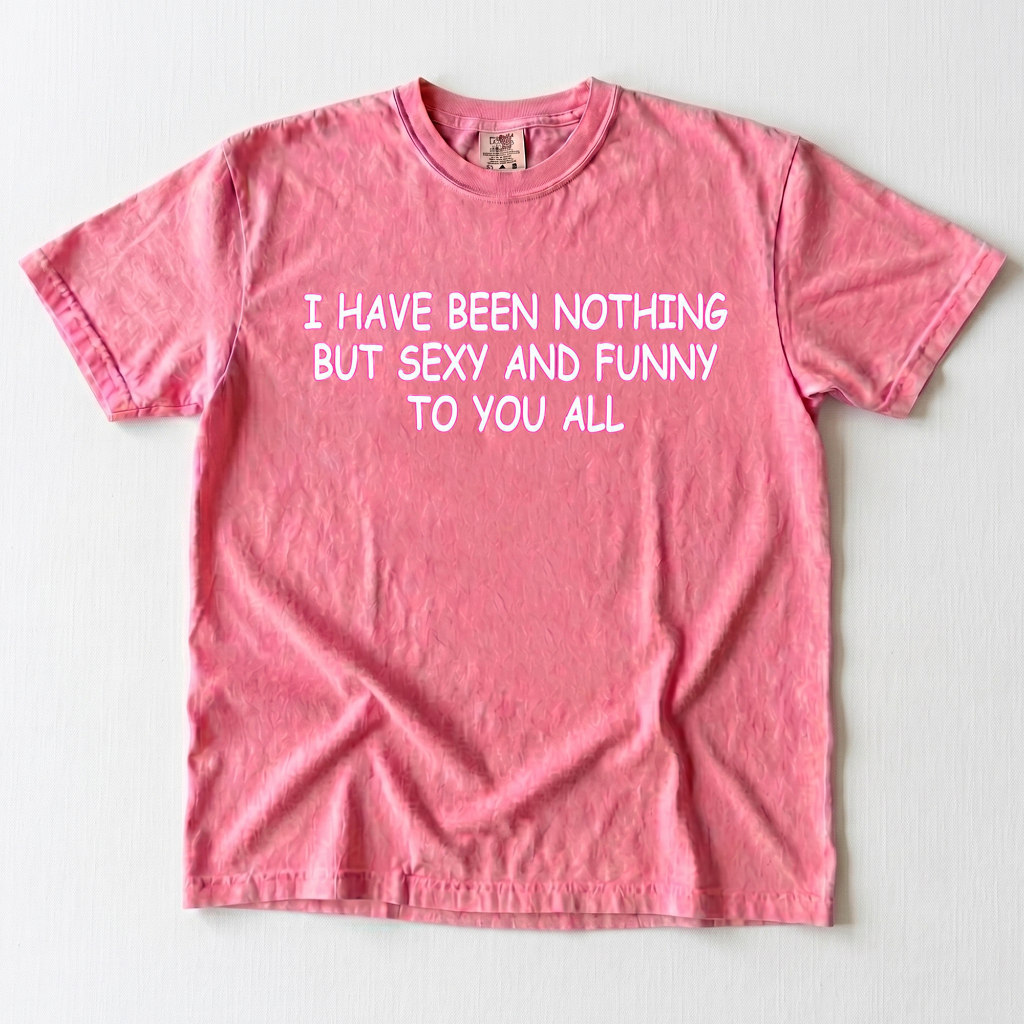 I Have Been Nothing But Sexy And Funny To You All Meme T-Shirt