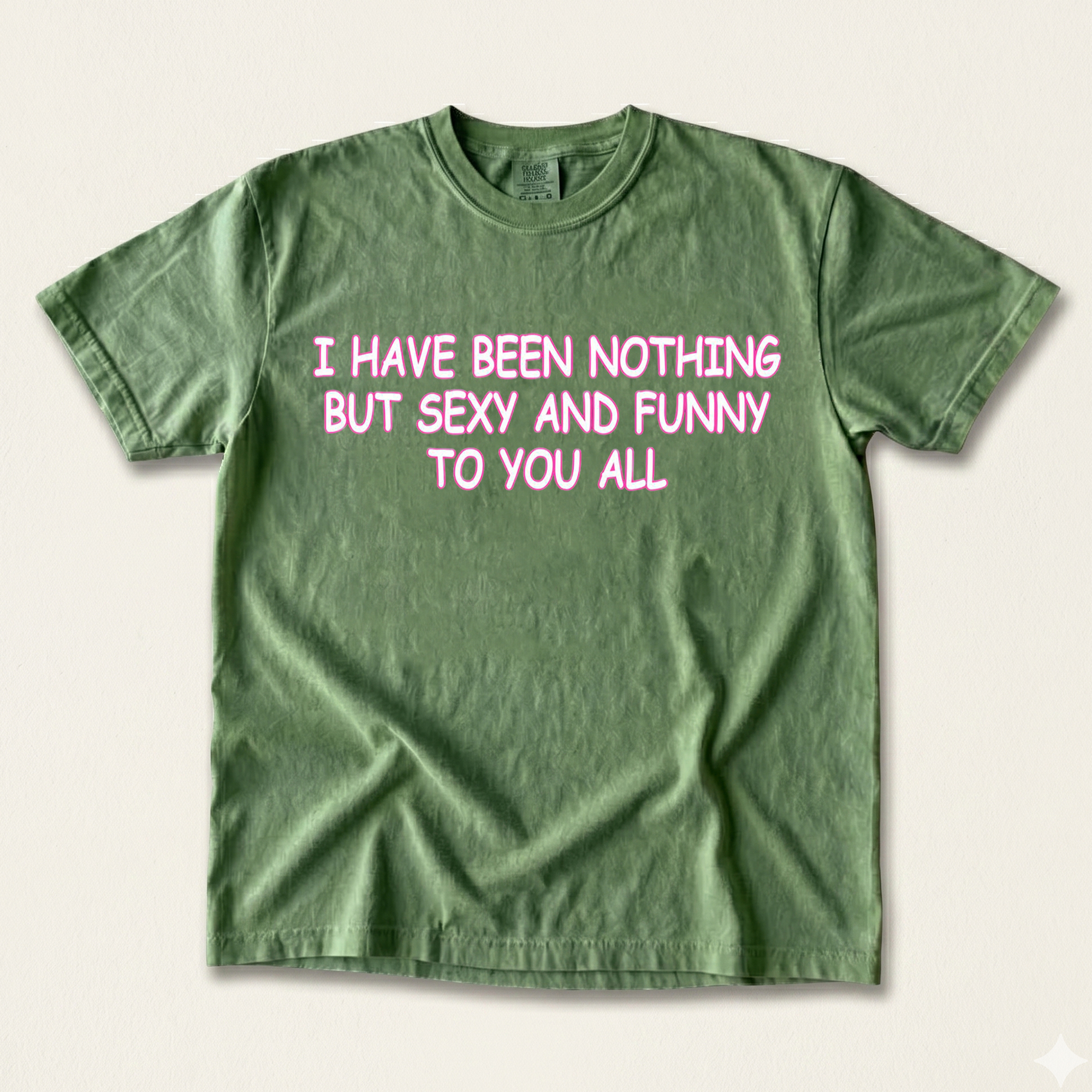 I Have Been Nothing But Sexy And Funny To You All Meme T-Shirt