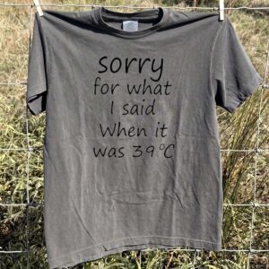Sorry For What I Said When It Was 39°C Shirt Funny Summer Tee