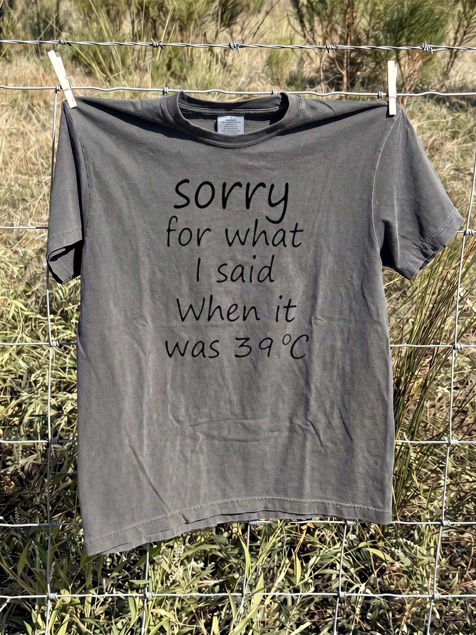 Sorry For What I Said When It Was 39°C Shirt Funny Summer Tee