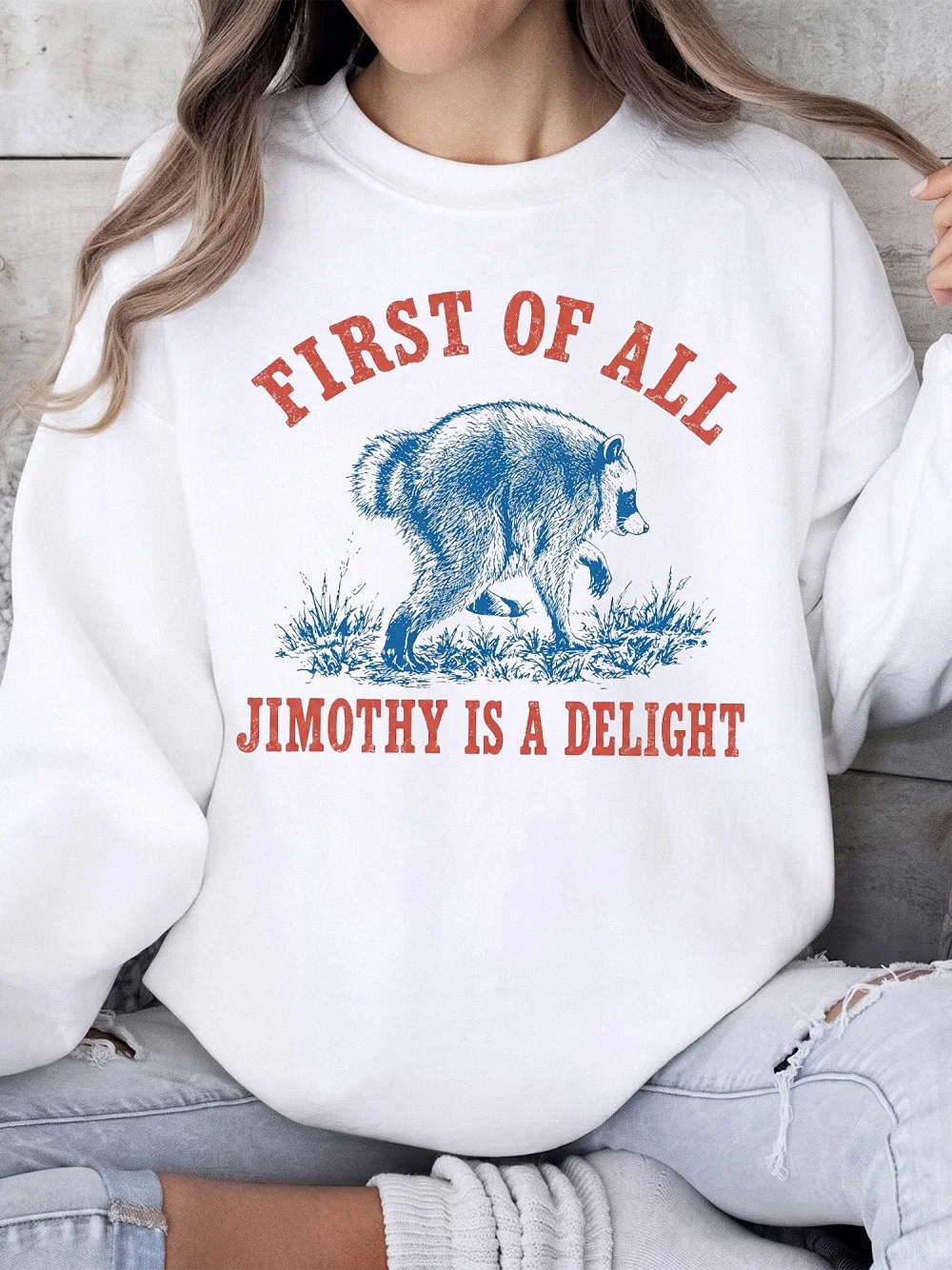 First Of All Jimothy Is A Delight Funny Raccoon T-Shirt Vintage Animal Graphic Tee Quirky Statement Shirt Sarcastic Gift