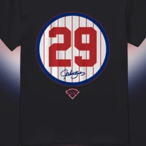 Baseball Number 29 Vintage Jersey Graphic Tee, Pinstripe Sports Fan Shirt for Men and Women