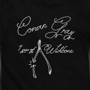Conan Gray 1 Year of Wishbone Tee, Retro Indie Pop Music Fan Merch Graphic Shirt