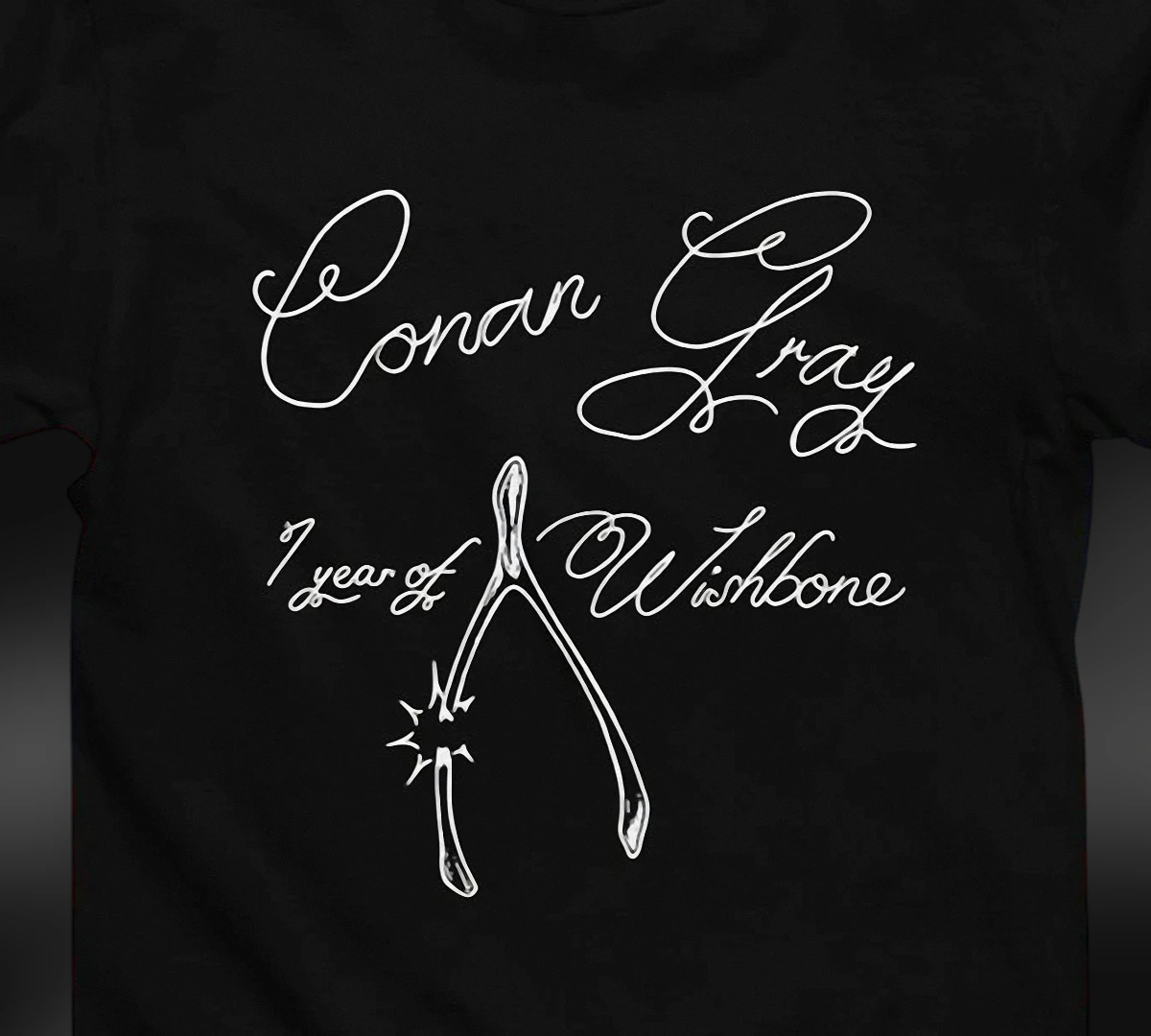 conan-gray-1-year-of-wishbone-tee-retro-indie-pop-music-fan-merch-graphic-shirt.webp Conan Gray 1 Year of Wishbone Tee, Retro Indie Pop Music Fan Merch Graphic Shirt