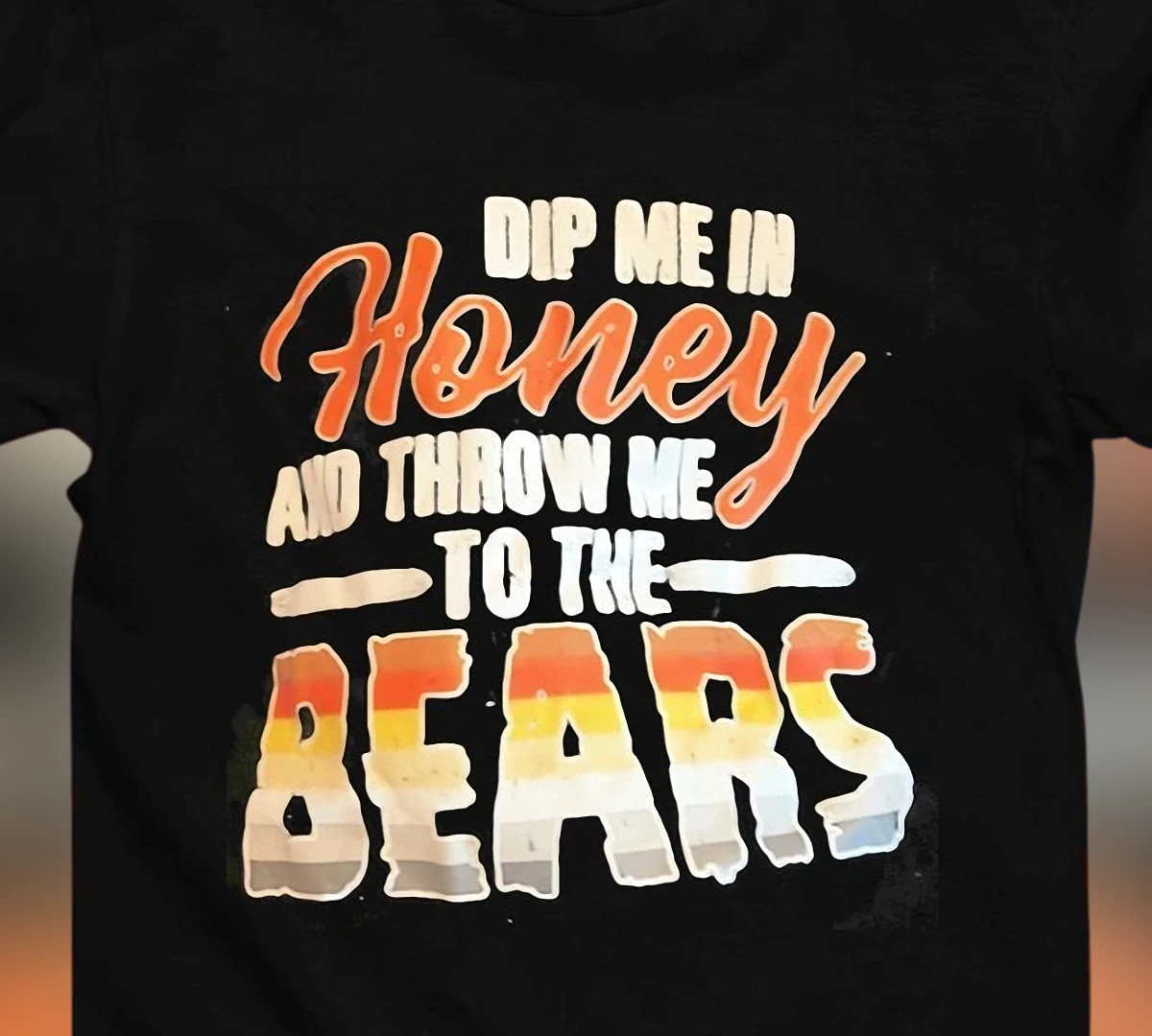 Dip Me in Honey and Throw Me to the Bears Tee, Bear Pride Flag Sarcastic Graphic Shirt, Gay Pride Gift