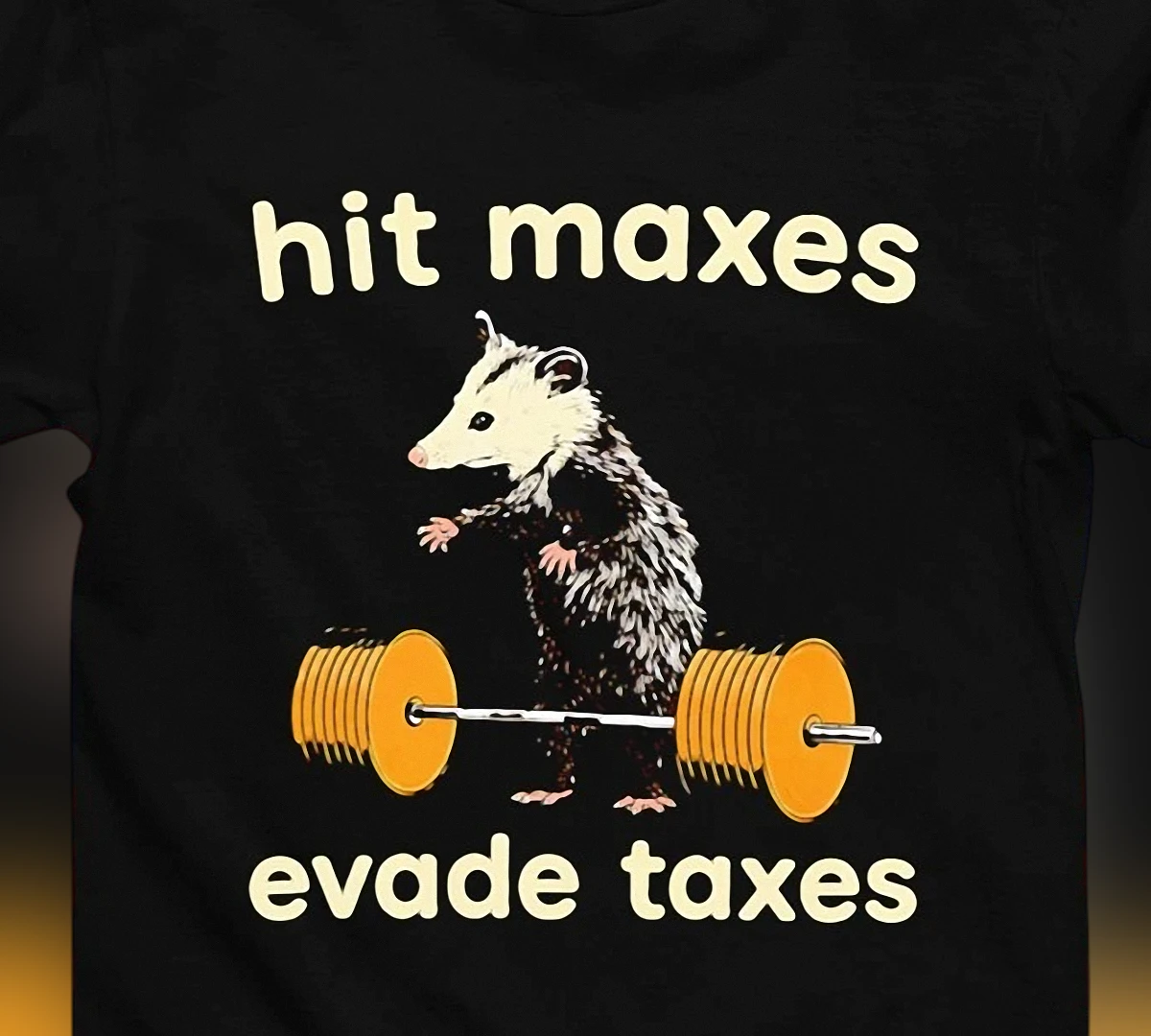 hit-maxes-evade-taxes-tee-funny-opossum-weightlifting-gym-meme-t-shirt-sarcastic.webp Hit Maxes Evade Taxes Tee, Funny Opossum Weightlifting Gym Meme T-Shirt, Sarcastic Bodybuilder Workout Gift
