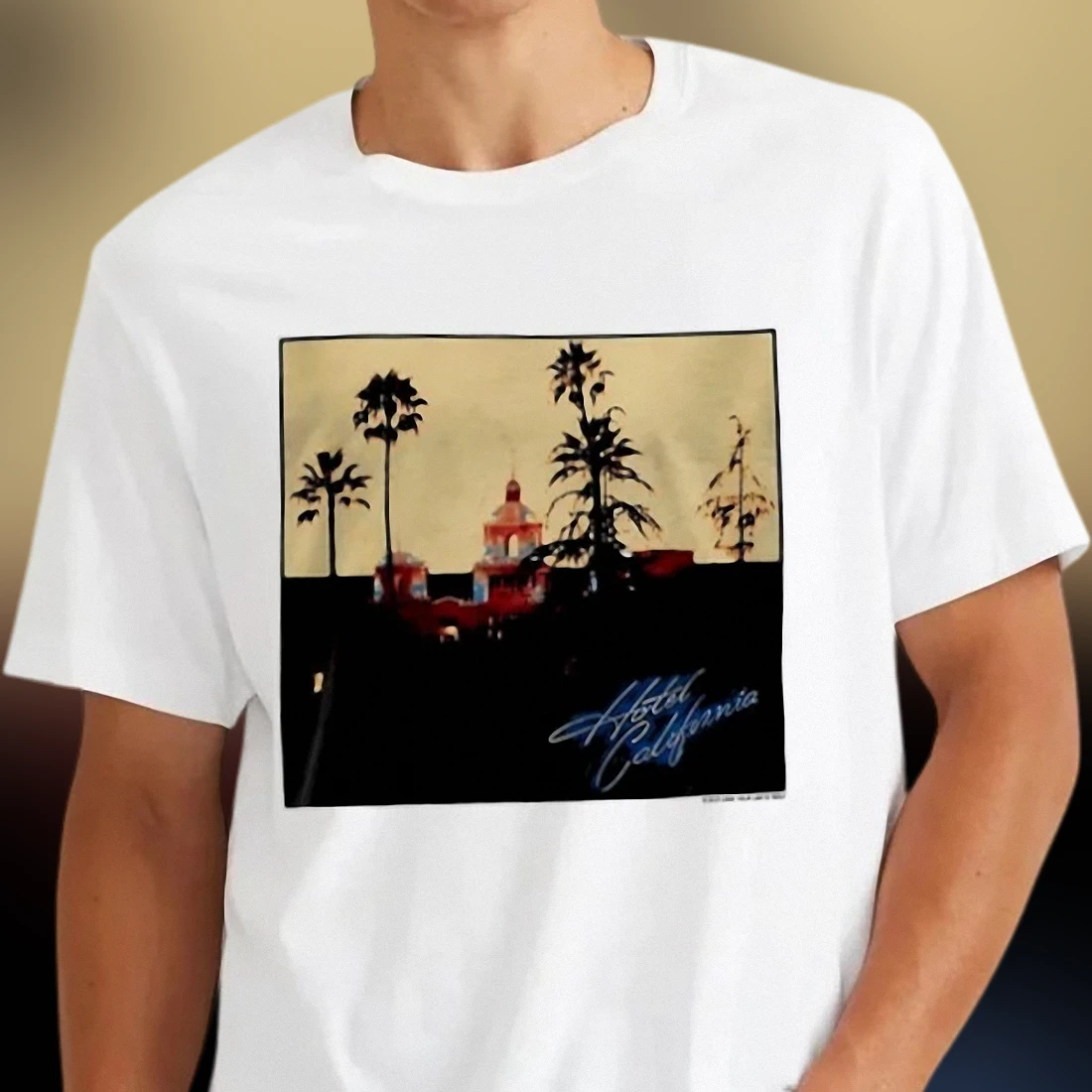 hotel-california-vintage-graphic-tee-classic-rock-album-art-music-shirt-for-men.webp Hotel California Vintage Graphic Tee, Classic Rock Album Art Music Shirt for Men and Women