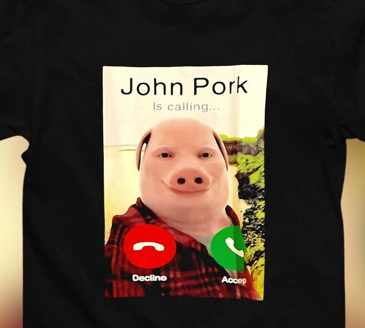 john-pork-is-calling-meme-tee-decline-or-accept-funny-viral-pig-graphic-t-shirt.webp John Pork Is Calling Meme Tee Decline or Accept Funny Viral Pig Graphic T-Shirt