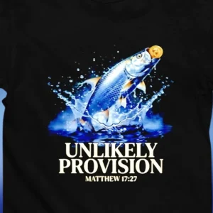 Unlikely Provision Matthew 17:27 Tee Fish Coin Miracle Christian Faith Graphic T-Shirt Gift
