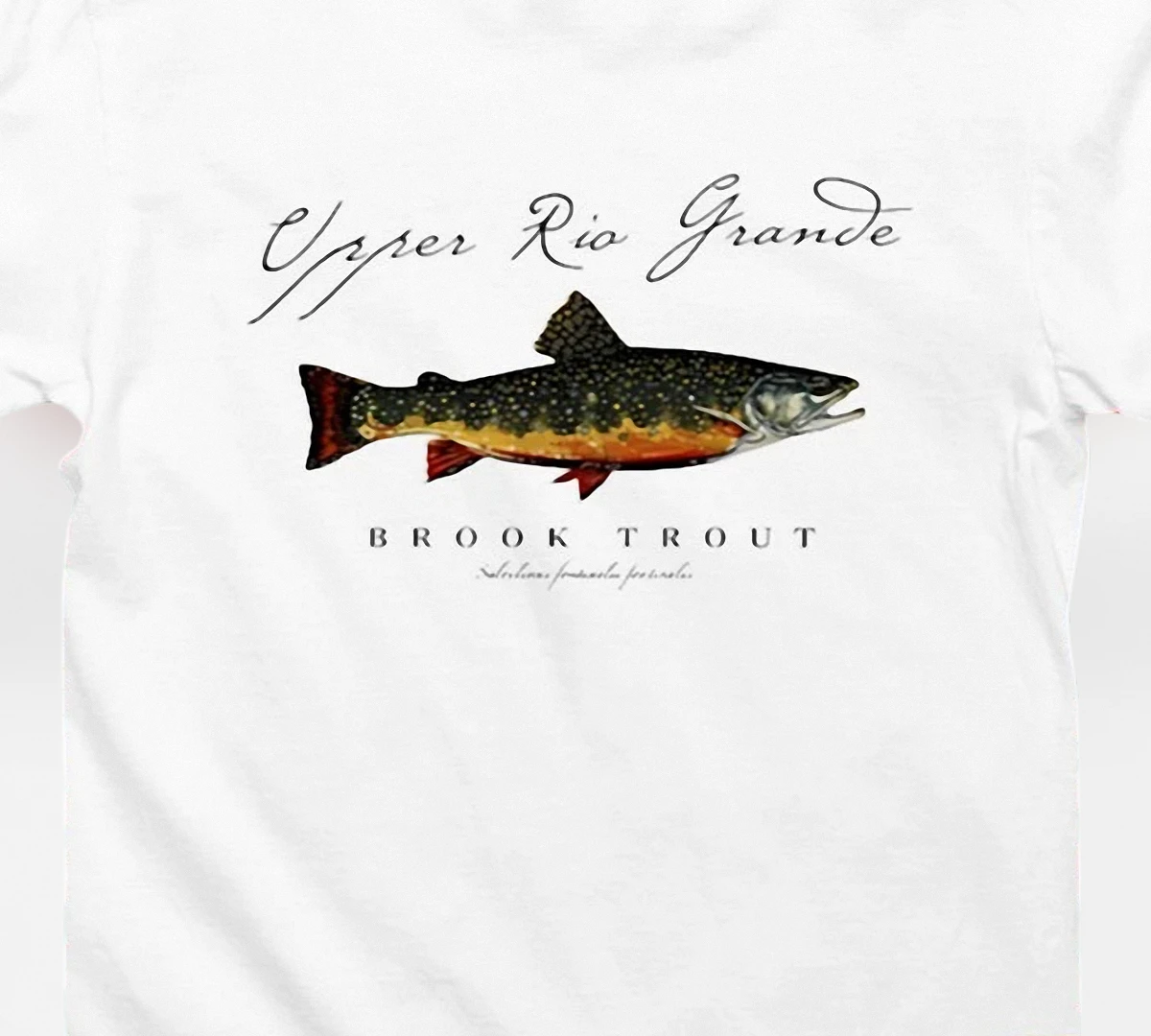 upper-rio-grande-brook-trout-tee-vintage-fly-fishing-graphic-shirt-for-anglers.webp Upper Rio Grande Brook Trout Tee Vintage Fly Fishing Graphic Shirt for Anglers