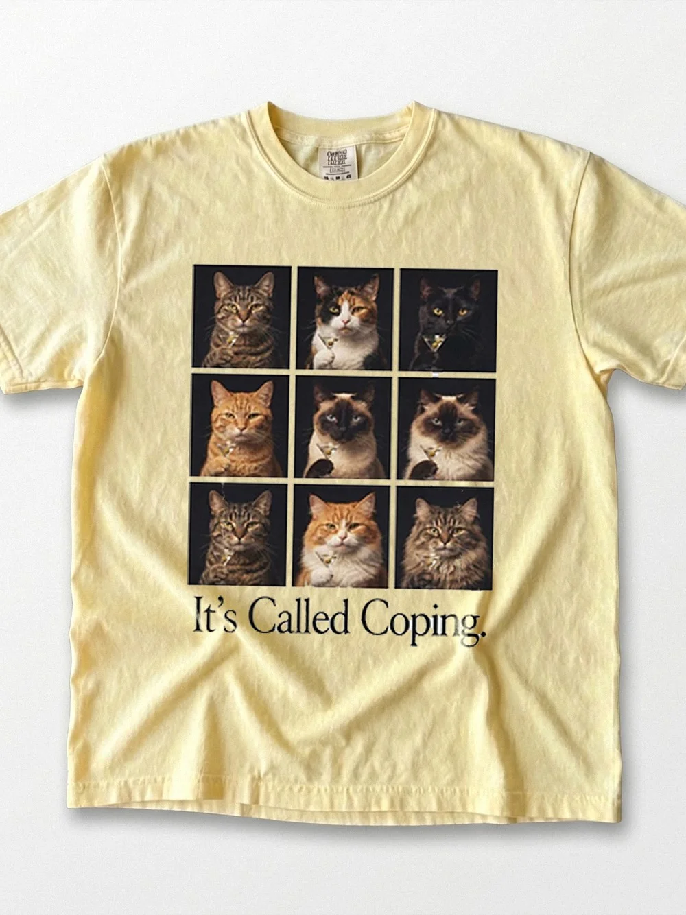 It's Called Coping Vintage Cat Graphic Tee Mental Health Humor Shirt