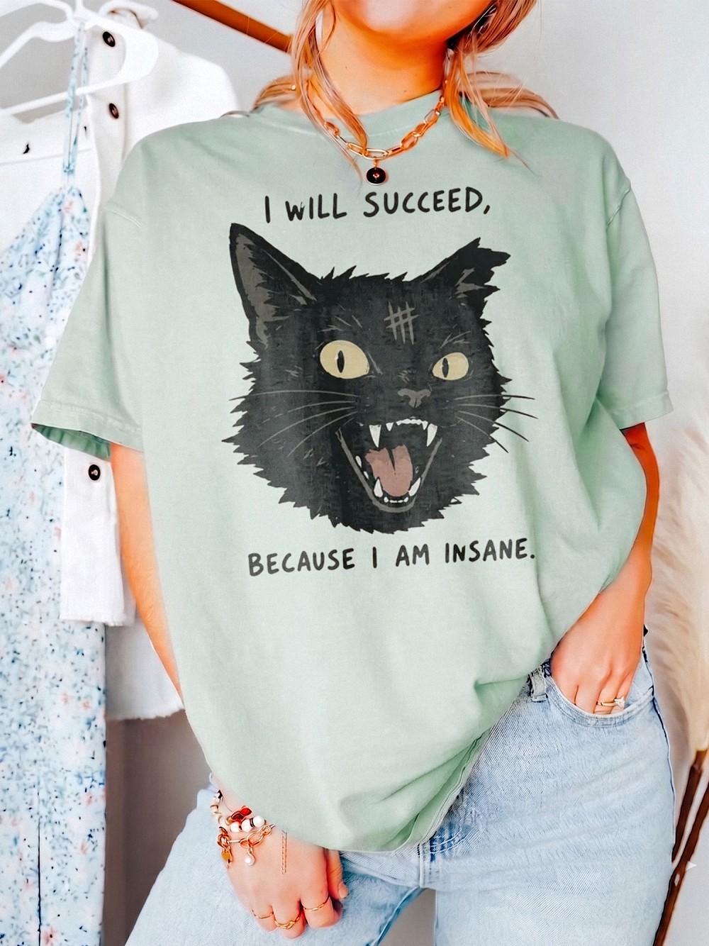 I Will Succeed Because I Am Insane Sweatshirt Funny Black Cat Sarcastic Graphic Pullover