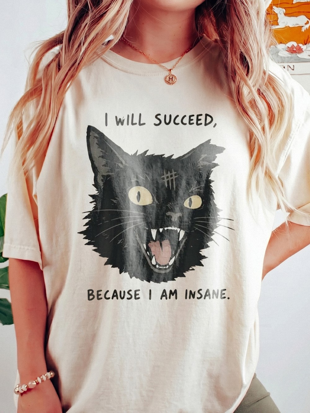 I Will Succeed Because I Am Insane Sweatshirt Funny Black Cat Sarcastic Graphic Pullover