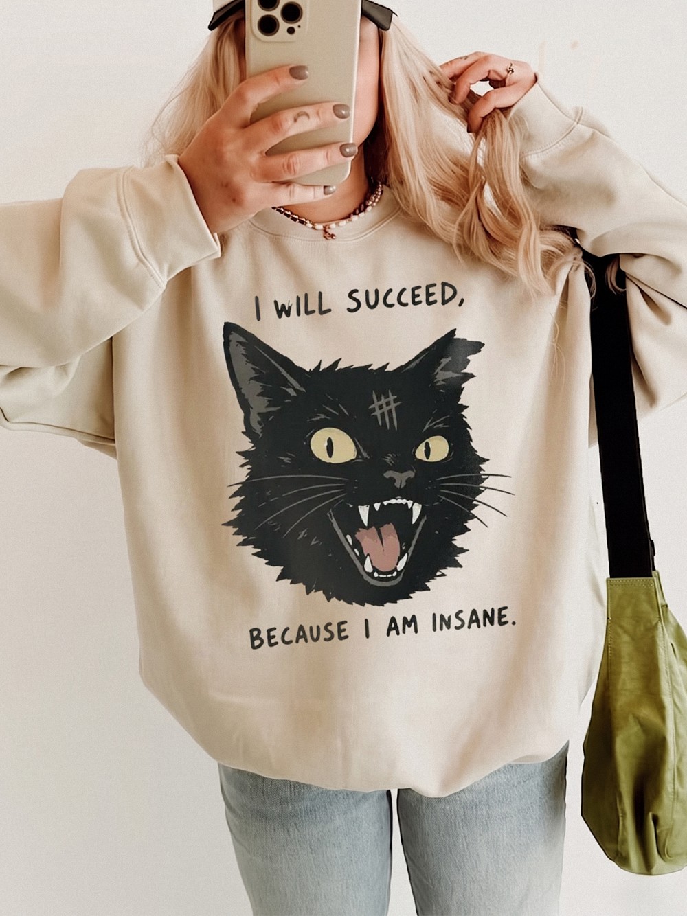 I Will Succeed Because I Am Insane Sweatshirt Funny Black Cat Sarcastic Graphic Pullover